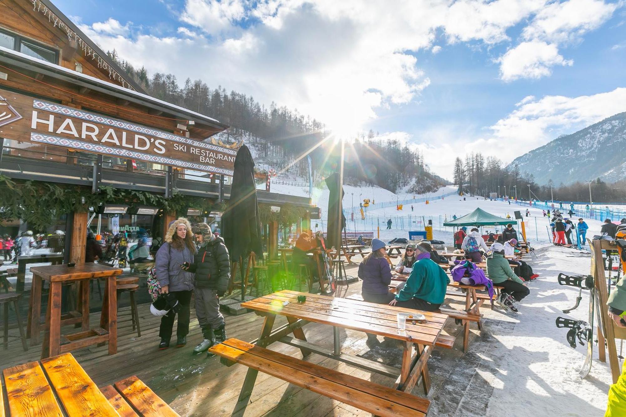 Il Nido Nella Pineta - Happy Rentals Bardonecchia Eksteriør billede